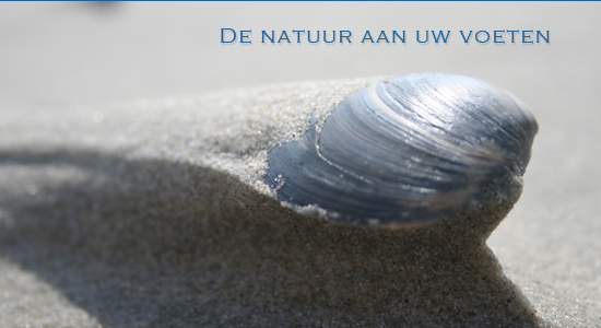 Huis op West begin